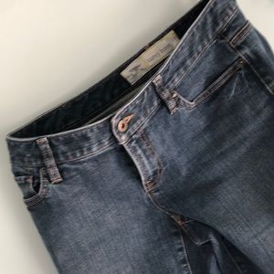 Ann Taylor Loft curvy boot cut jeans